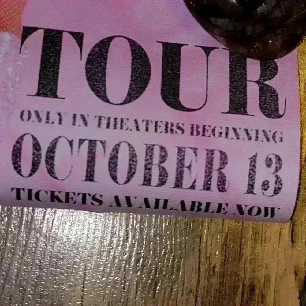 12 x 18 unframed Taylor Swift Era' s Tour Canvas - Picture 3 of 4